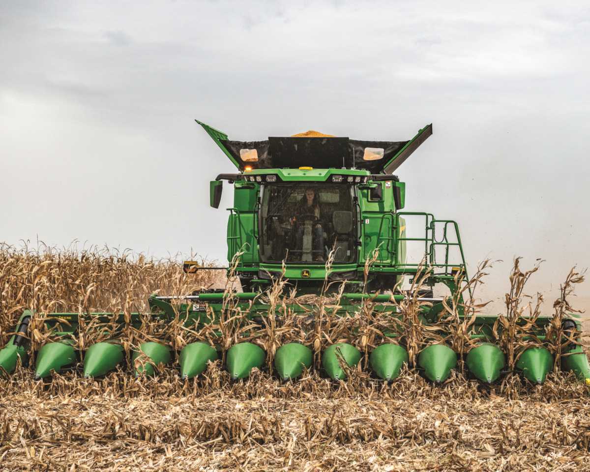 Corn-Heads