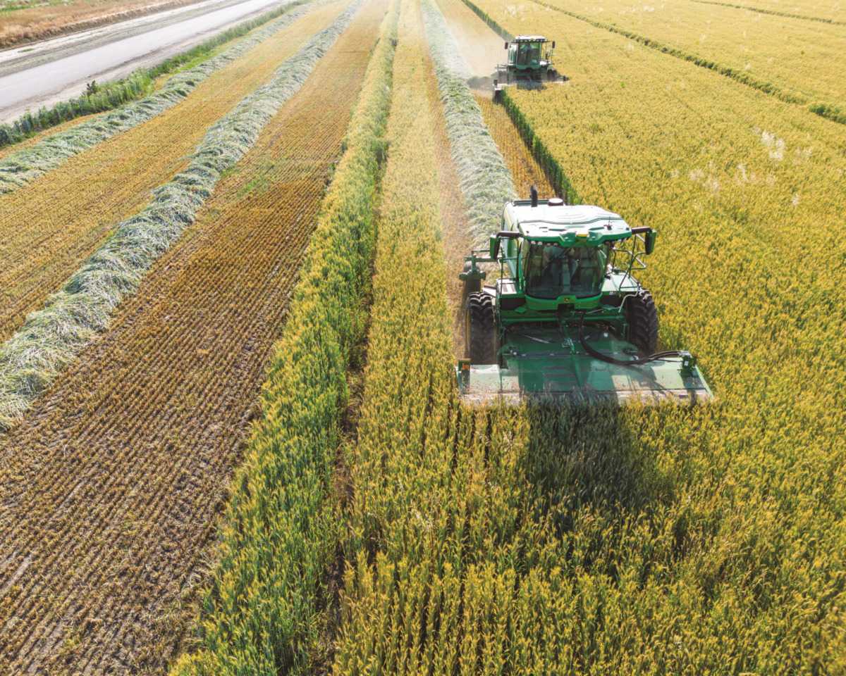 Hay-and-Forage-Mowing