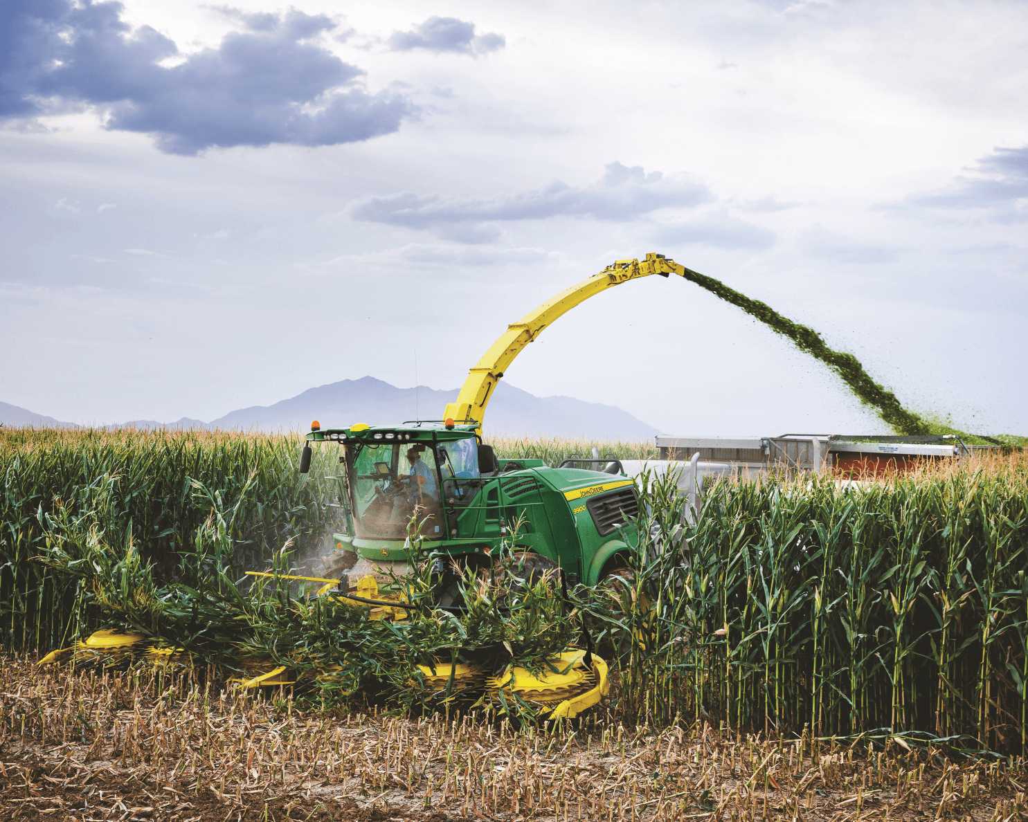 Rotary-Harvesting-Heads